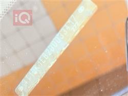 تۆیۆتا ئەڤەلۆن